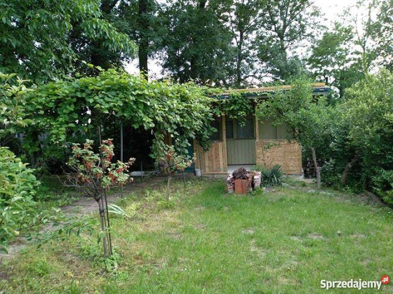 Działka w ogródkach działkowych ROD RELAX w Kraków