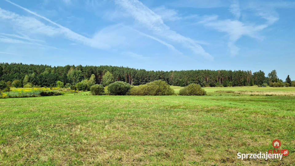 Działka 7357m2 Królowy Most 31m