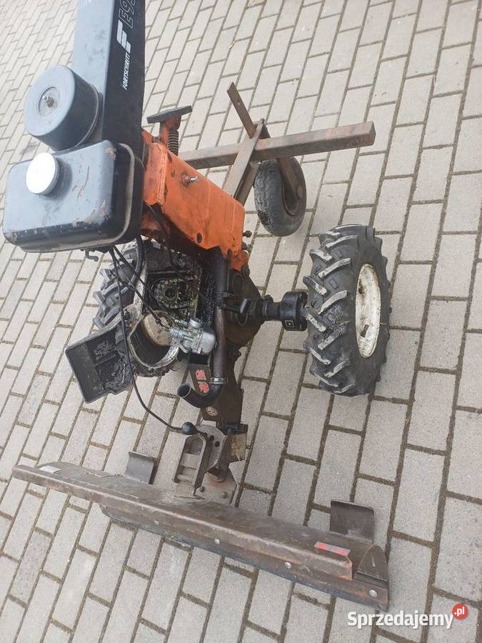 Sprzedam to co na zdjęciu Wołów