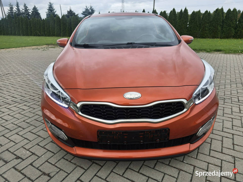 Kia Pro Ceed 16Benz ProCeedNaviLedyKamera Kutno sprzedam