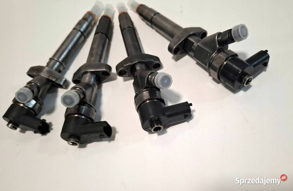 WTRYSKIWACZ 0445110102 OPEL 22DTI RENAULT 22DCI Kartuzy