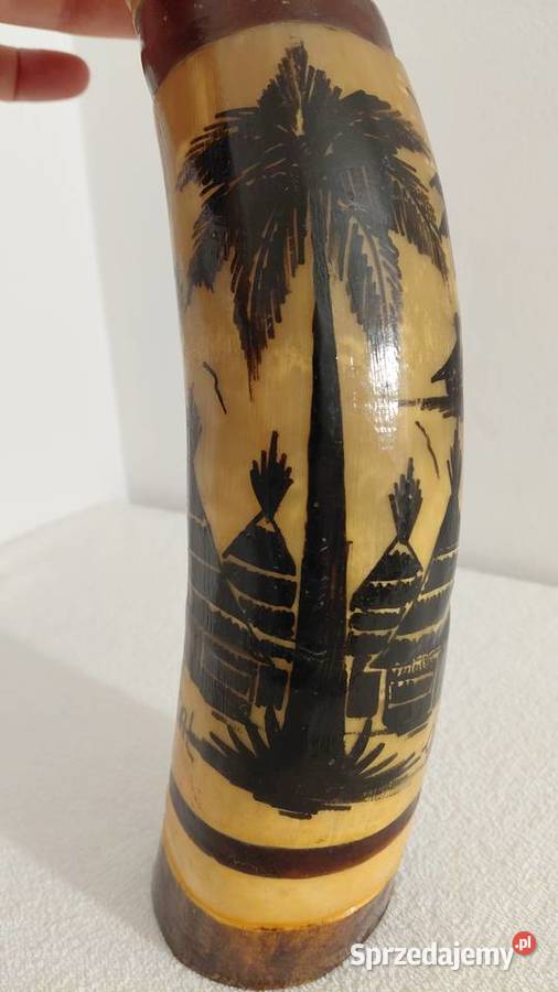 Róg Watussi Senegal Krzykawa sprzedam