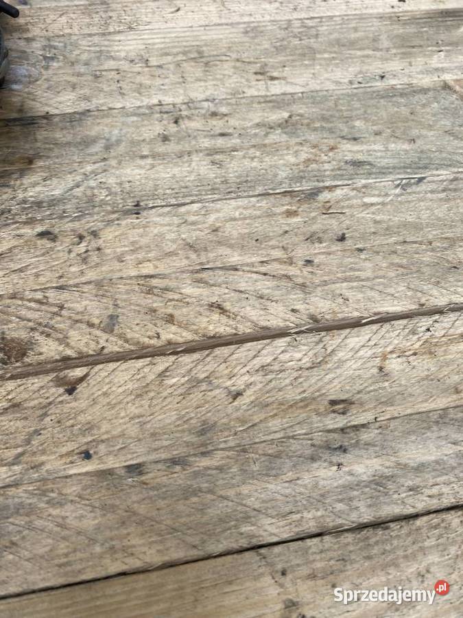 SZCZEKOTRZYMACZ KOŁA PRZÓD PRZEDNIEGO PANNONIA Pozostałe Kraków