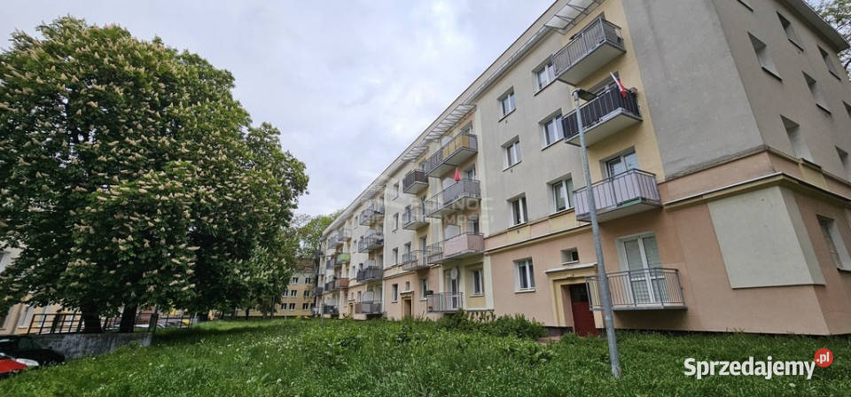 Mieszkanie w sercu Świdnika wszystko w zasięgu r