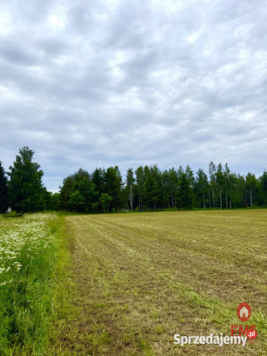 sprzedaży gruntu 3128m2 Błaskowizna Sprzedaż