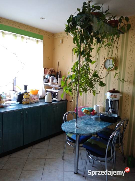 Zabudowa kuchenna Elbląg