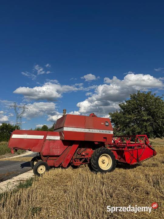 Massey Ferguson 186 Kombajny Małogoszcz