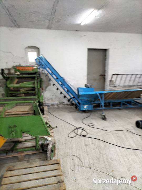 Sortownik ziemniaków AMAZONE BK3 Jędrzejów