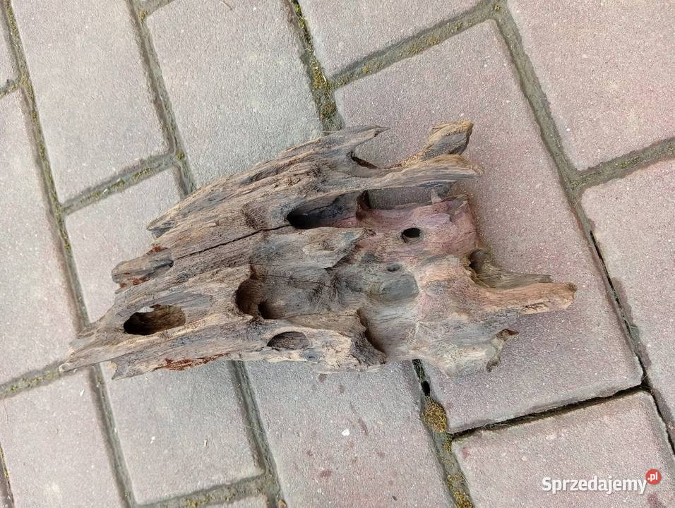 Sprzedam akwarium 60l