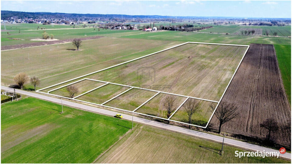 Grunt 449 ha z koncepcją 5 domów Jenin