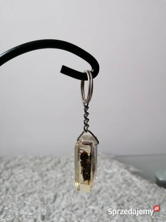 BRYLOCZEKPSZCZOŁA W ŻYWICY Łódź