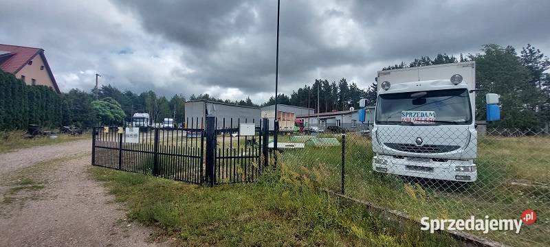 Syndyk sprzeda Amelin