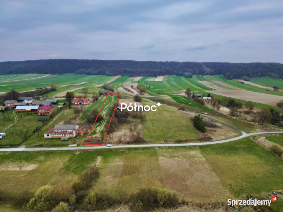 Działka w Zabytowie gmina Skierbieszów 3899m2 Zabytów sprzedam
