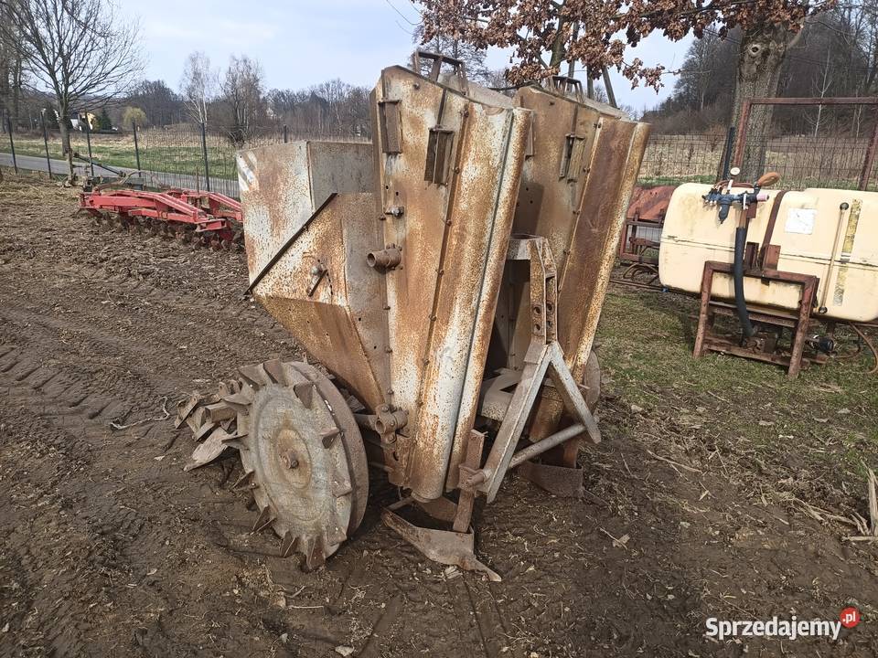 Sadzarka Polska do ziemniaków Sadzenie/siewniki Lubań