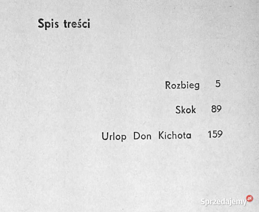 Urlop Don Kichota Jerzy Walden miękka
