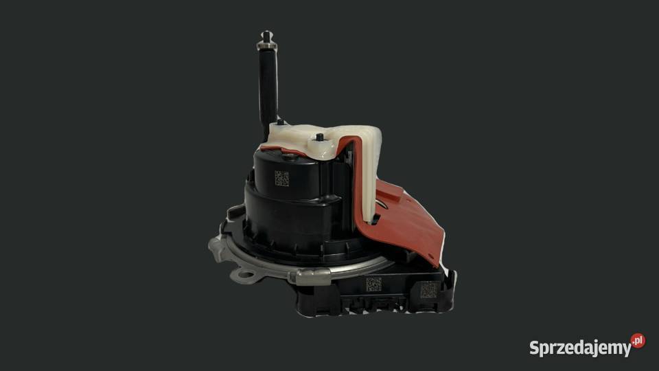 Naprawa pomp AdBlue 204629590R 204620353R Katowice