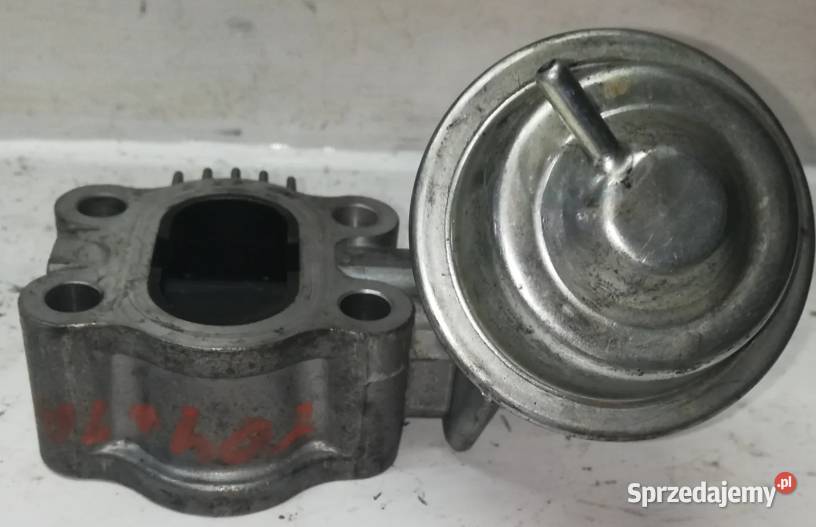 Przepustnica Toyota świętokrzyskie Suchedniów