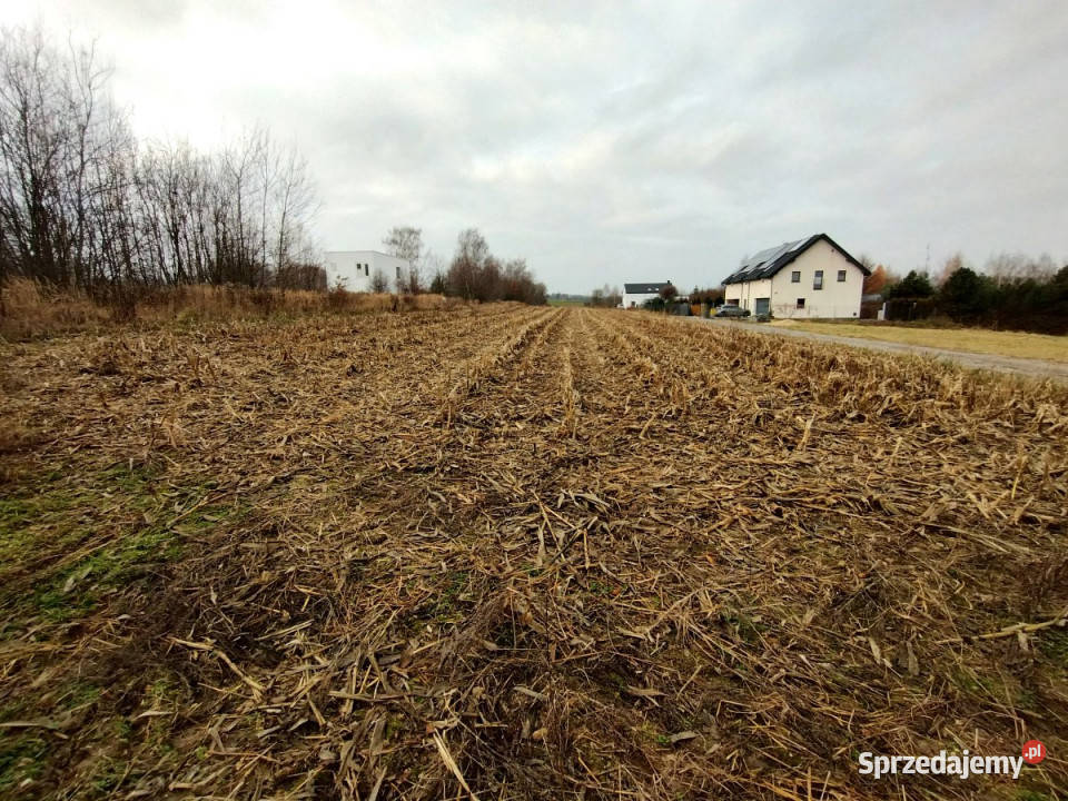 Sprzedam grunt 1700m2 PłouszowiceKolonia 1700m2 Płouszowice-Kolonia