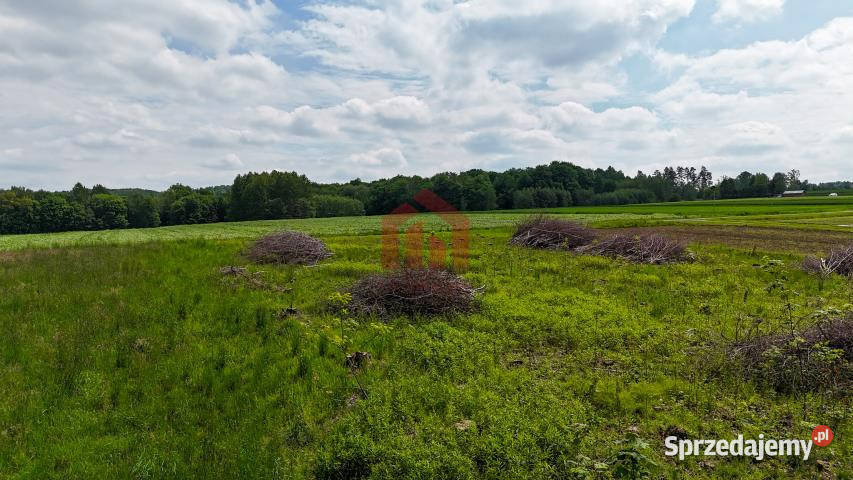 Działka 1000m2 Będzienica Sprzedaż