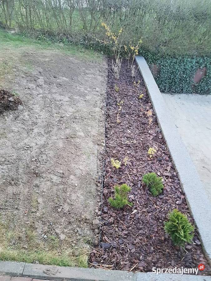 Kompleksowe ogrodnictwo pielęgnacja i wycinka Pozostałe usługi Kraków