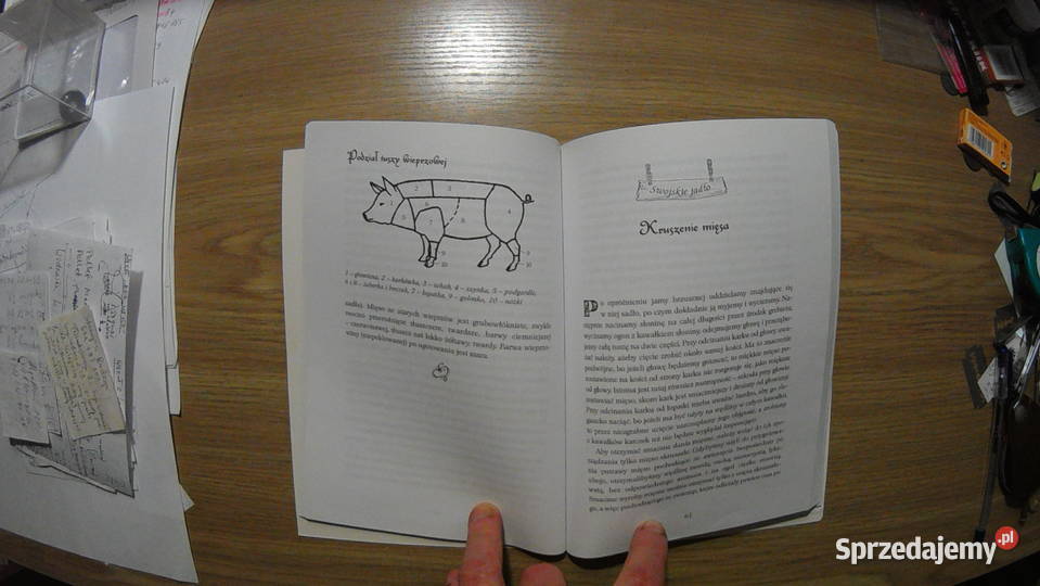 Poradnik Wędliny domowe A Fiedoruk Wwa 2004 Pabianice