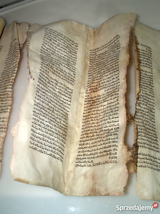 Dziewiętnastowieczna tora na pergaminie małopolskie