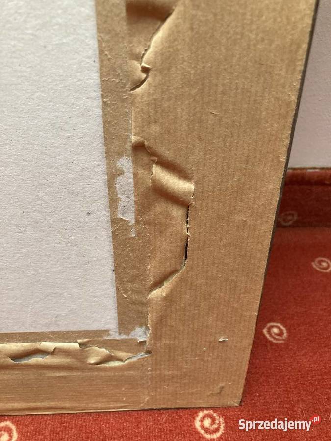 OBRAZ KOPIA Grodków sprzedam