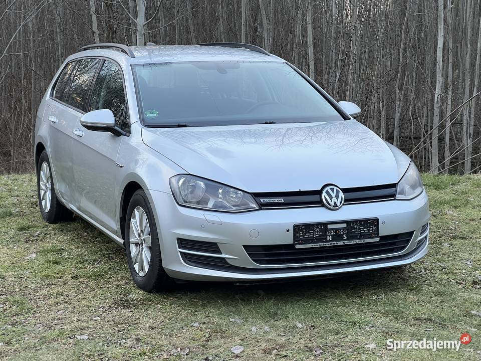 Volkswagen Golf VW Golf VII 16 TDI Okazyjna Gubin sprzedam