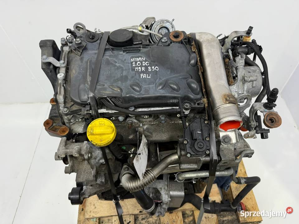 SILNIK Nissan Qahqai I J10 20 DCI 150 diesel Chełm