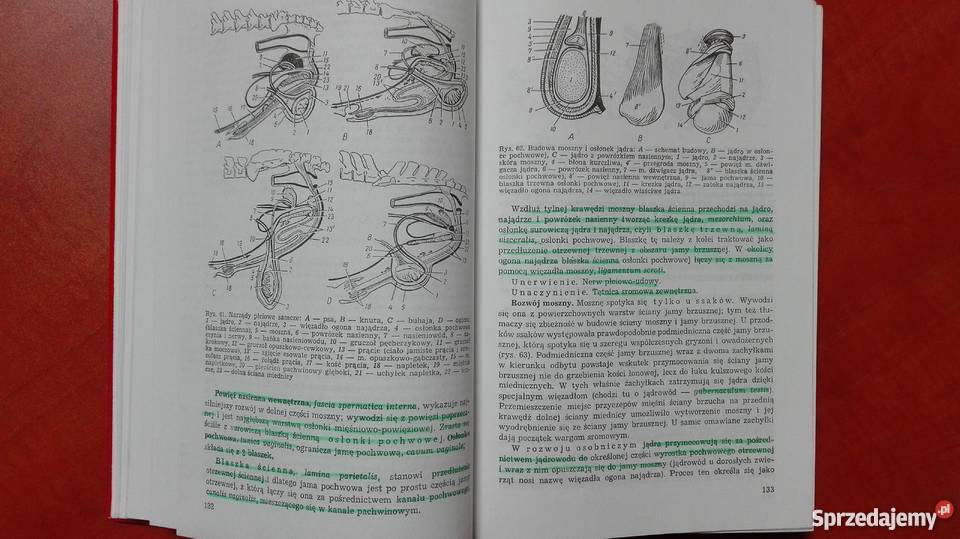 Anatomia Zwierząt Domowych tom 2 AAkajewski warmińsko-mazurskie Olsztyn sprzedam