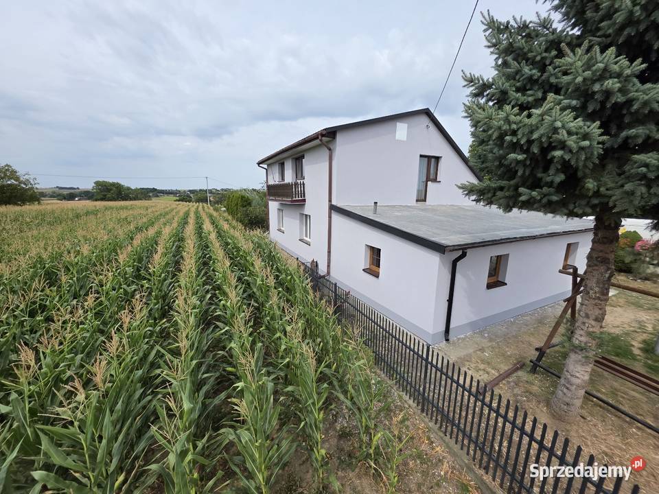 Docieplenia Budynków usługi budowlane
