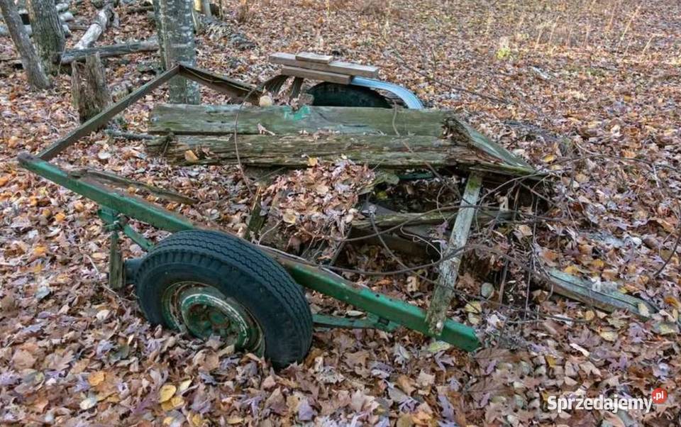 Przyczepka samochodowa SAM DMC550 Zarejestrowana Bolesławiec