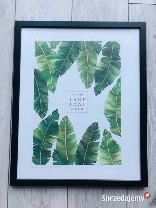 Plakat obraz liście zielony tropikalny natura 42 Łódź