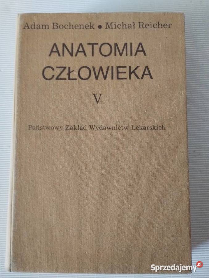 ANATOMIA CZŁOWIEKA tom 1 5 Olkusz