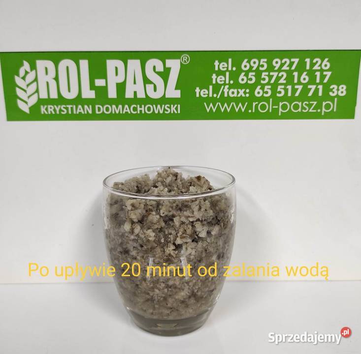 Wysłodki buraczane niemelasowane pasza koni