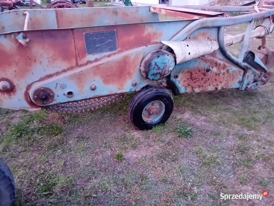 Kopaczka elewatorowa taśma metalowa lubelskie Ryki