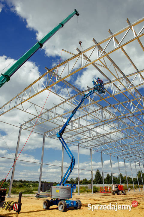 Spawanie konstrukcji stalowych Hale przemysłowe śląskie Czarny Las