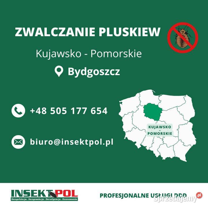 Zwalczanie pluskiew Bydgoszcz Odpluskwianie