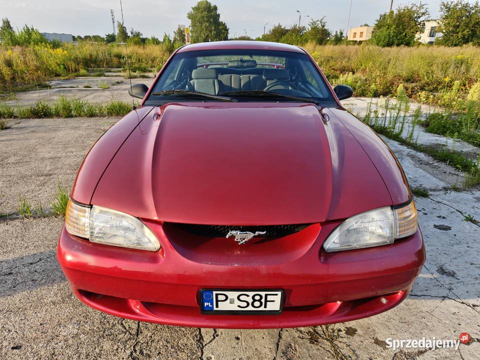 Ford Mustang sn95 38 V6 Manual 150KM wielkopolskie Września