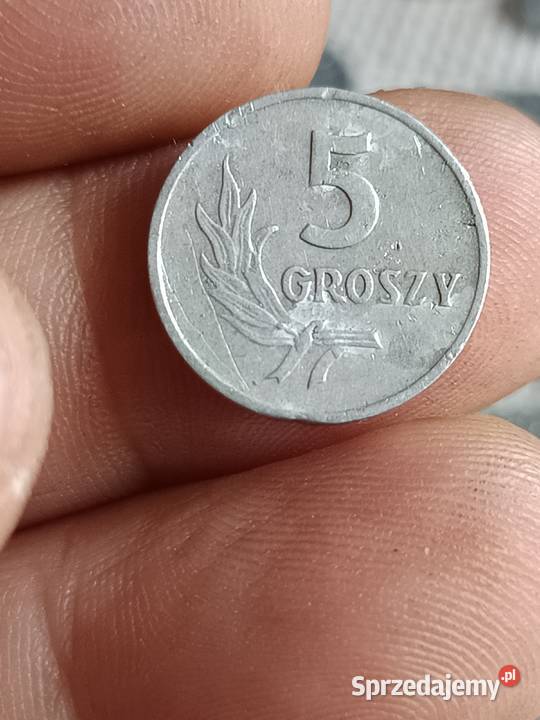 Sprzedam 5 groszy 1958 nn Numizmatyka Chełm