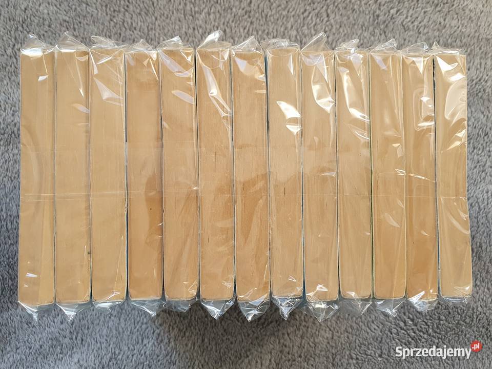 Gigant Poleca rocznik 2007 komplet 13 tomów Polskie Komiksy pomorskie Gdynia