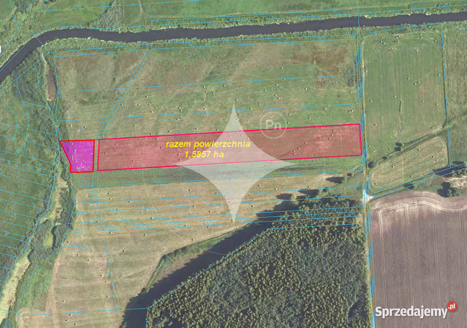 Łąka Horbów Kolonia gm Zalesie pow bialski Horbów-Kolonia