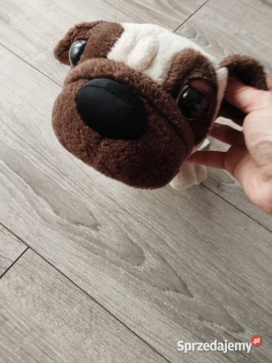 pies pluszak maskotka kolejny Poznań