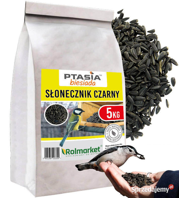 Słonecznik czarny ptaków na zimę 5 karma ptaków Cieśle