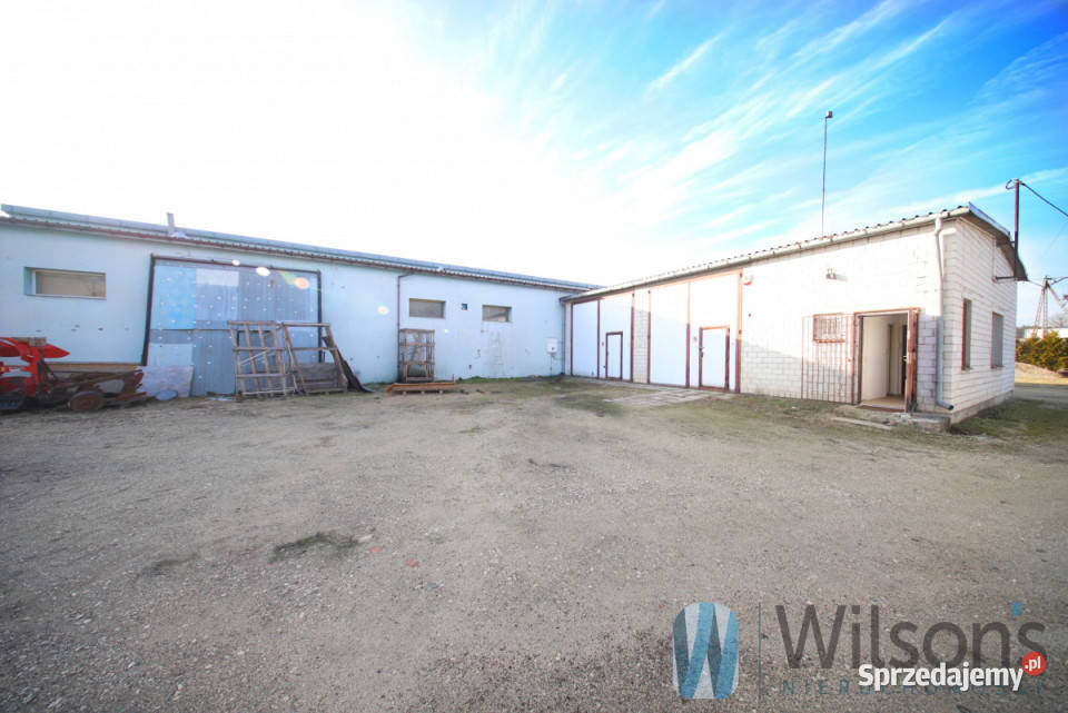Lokal Lesznowola Słoneczna 690m2