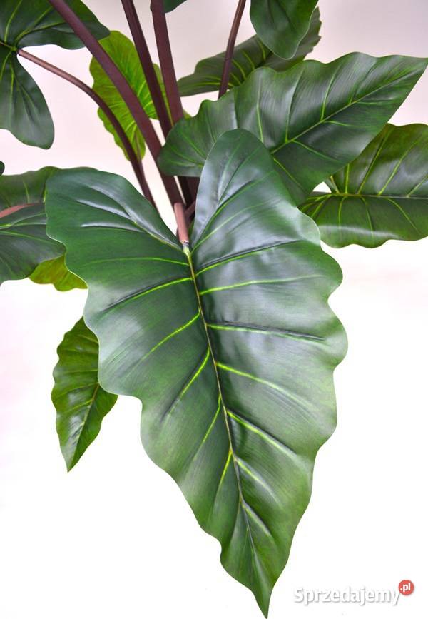 Alocasia sztuczne drzewko kwiat w donicy 150 Wąbrzeźno