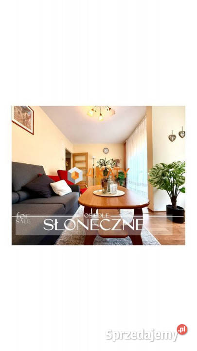 Mieszkanie 384m2 2 pokoje Zielona Góra Sprzedaż Mieszkania