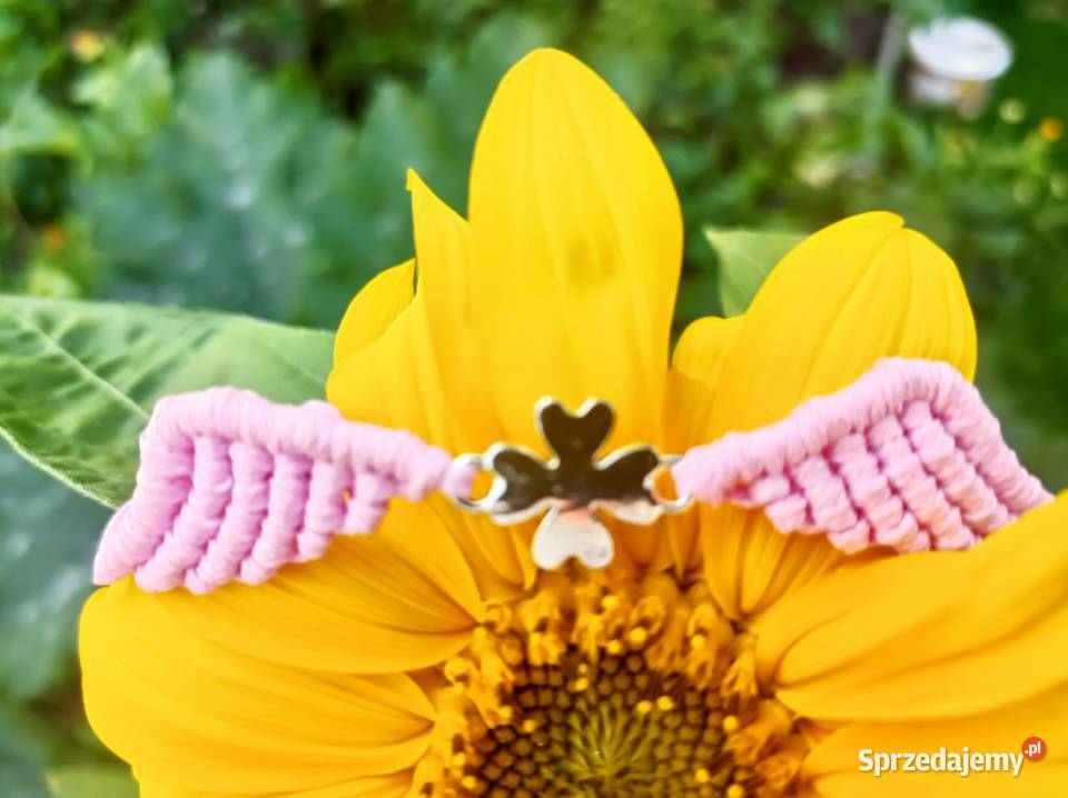 Bransoletki skrzydła Bukowina Tatrzańska