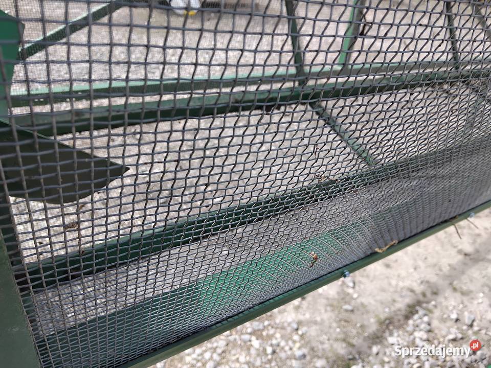 Bęben otrząsacz ziemi do ziół korzennych mniszka Chorupnik