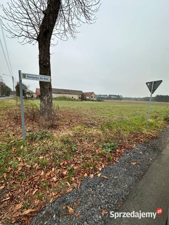 Działki budowlane w gminie Siedlisko miejscowość Sprzedaż Nowa Sól